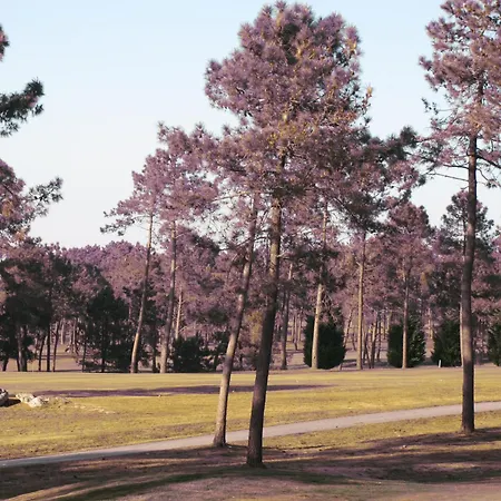 Lägenhet Marso Poio