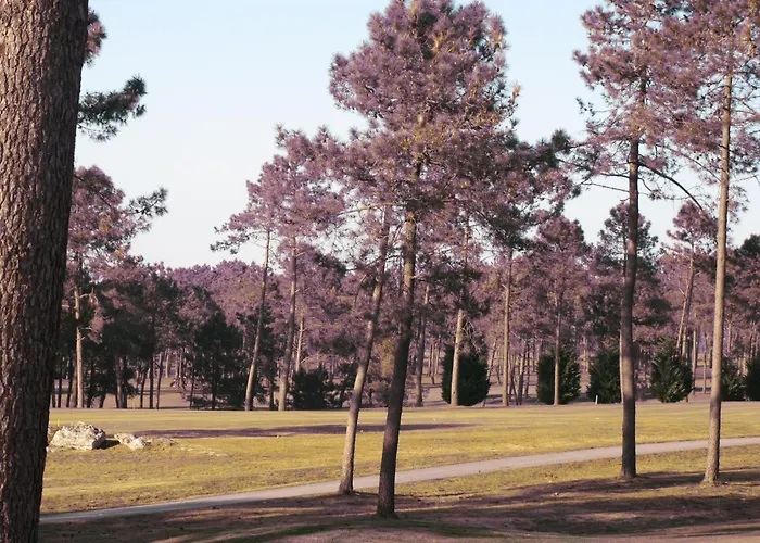 アパート Marso ポイオ