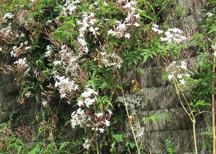 アパート Marso ポイオ